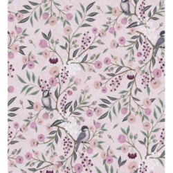 Daisy Cheerful 684858