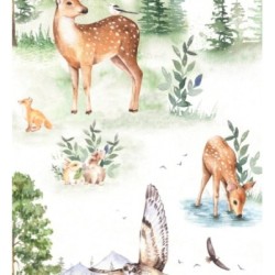 Yellowstone Animals 684877