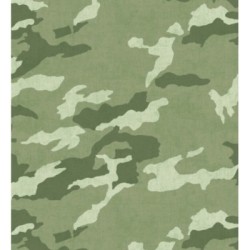 Ragen Camo 684878