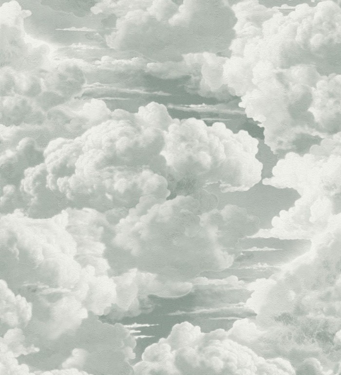 Papel pintado de nubes con textura de pintura al óleo y estilo etéreo gris verdoso - Skye Eden 684931