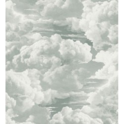 Papel pintado Skye Eden 684931