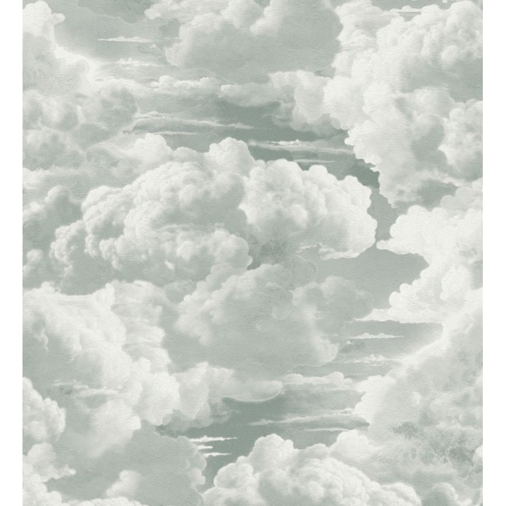 Papel pintado de nubes con textura de pintura al óleo y estilo etéreo gris verdoso - Skye Eden 684931