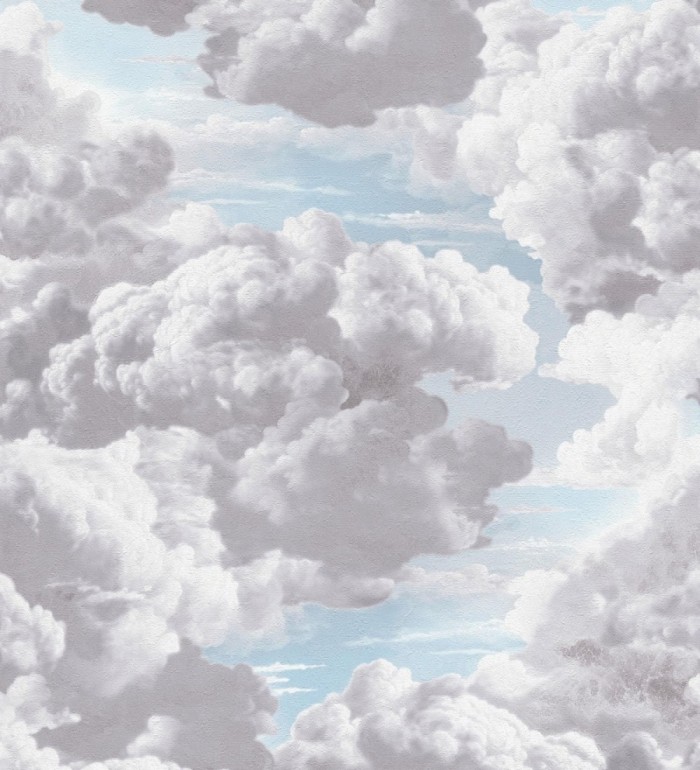 Papel pintado nubes grises óleo etéreo textura pictórica fondo cielo - Skye Eden 684935