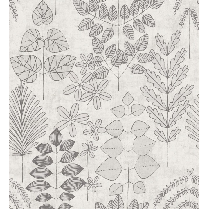 Papel pintado herbario retro vintage refinado pátina fondo color gris claro - Adelaide Lush 684952
