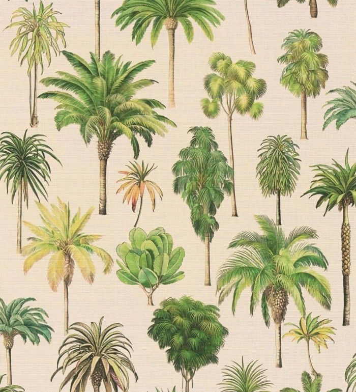Papel pintado botánico de palmeras coloniales fondo arena - Savanna Palm 684991