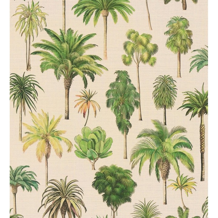 Papel pintado botánico de palmeras coloniales fondo arena - Savanna Palm 684991