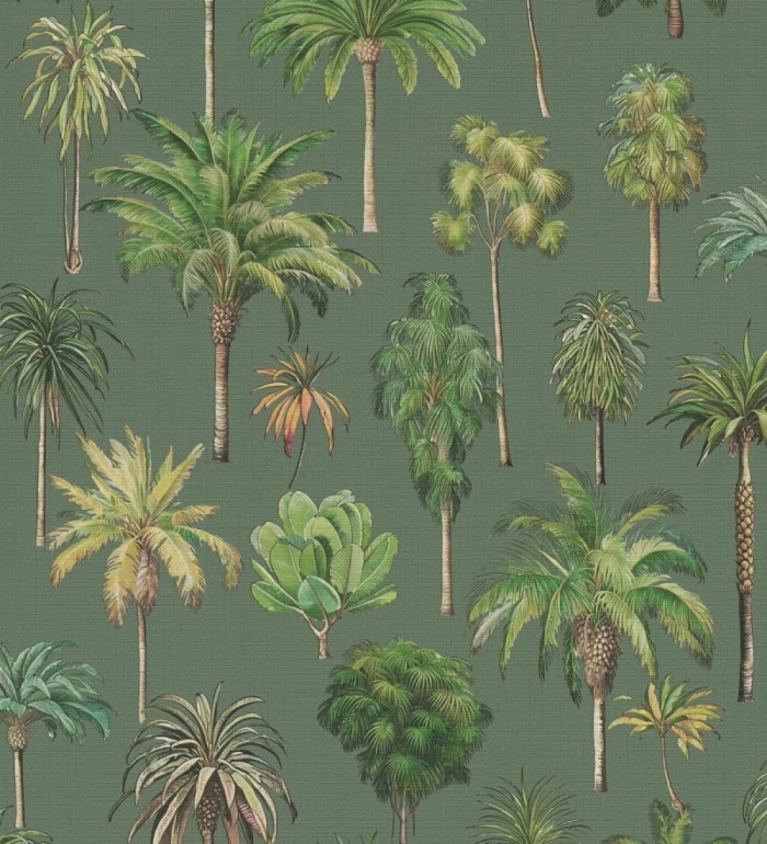 Papel pintado botánico de palmeras coloniales fondo verde - Savanna Palm 684992