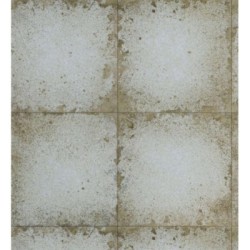 Varanasi Archaic 685076