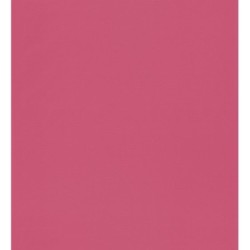 Daisy Texture 126710