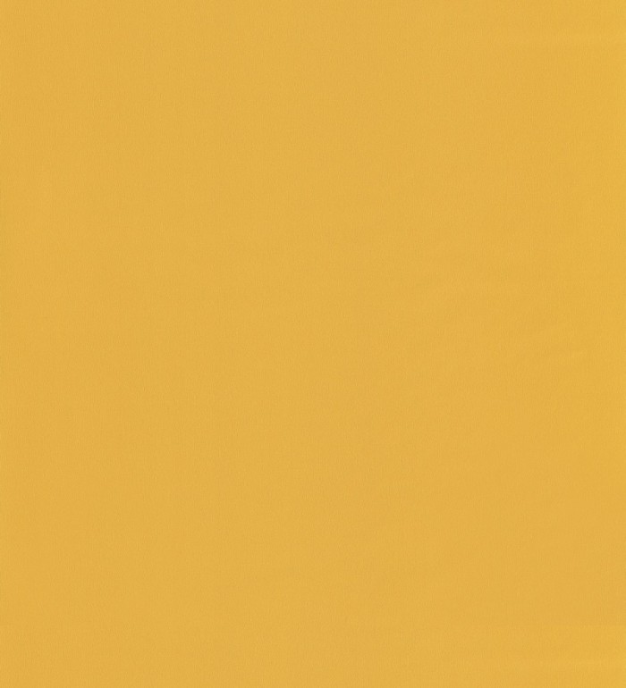 Papel pintado liso infantil mostaza - Daisy Texture 126717