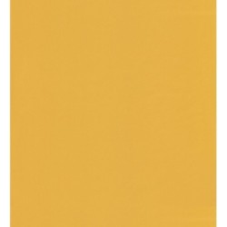 Daisy Texture 126717