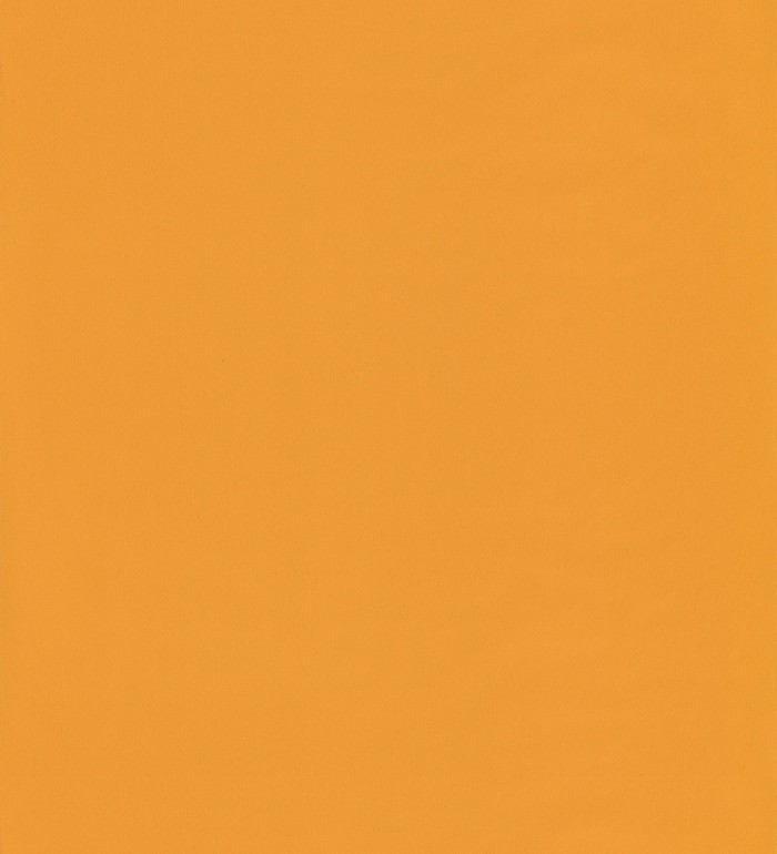 Papel pintado liso infantil naranja - Daisy Texture 126718
