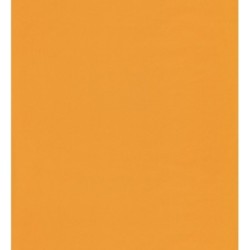 Daisy Texture 126718