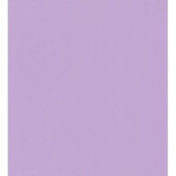 Daisy Texture 126720