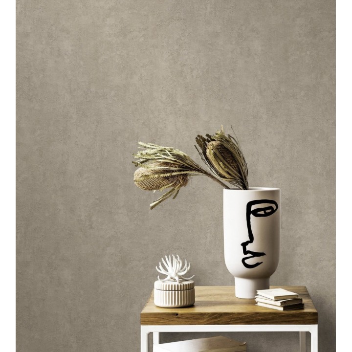Papel pintado estuco gris arcilla relieve mineral - Rodes Weathered 685204