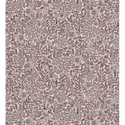 Papel pintado Raccoon Forest 126776