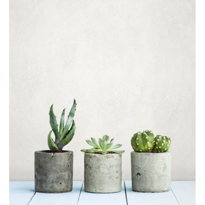 Papel pintado microcemento blanco roto estilo industrial - Mercer Clay 685232