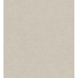 Papel pintado Raffton Shadow 685294