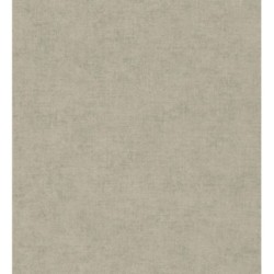Papel pintado Raffton Shadow 685296