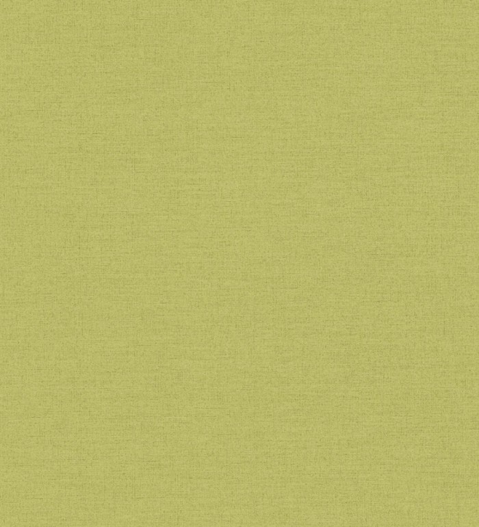 Papel pintado liso con textura lienzo pintado verde lima oscuro - Brighton Sage 685324