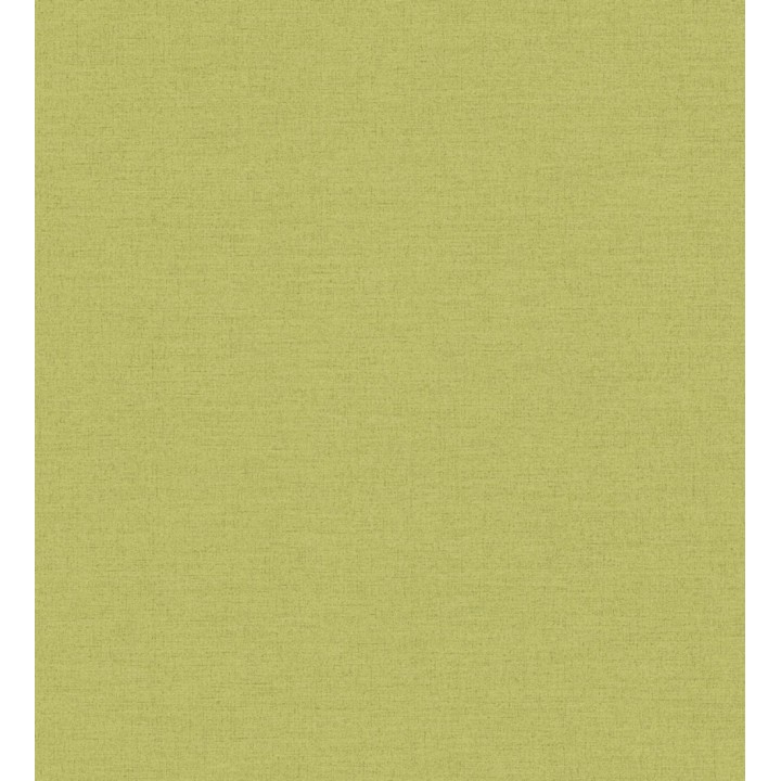 Papel pintado liso con textura lienzo pintado verde lima oscuro - Brighton Sage 685324