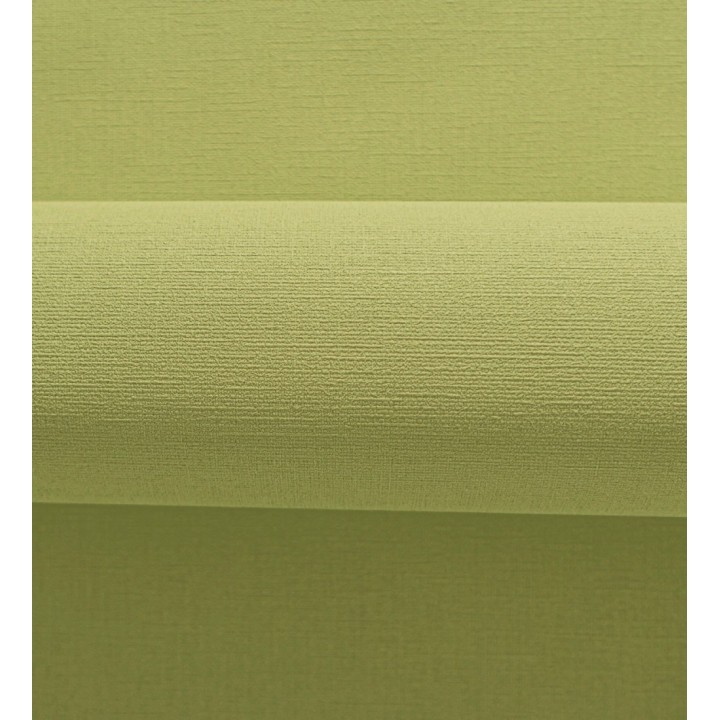 Papel pintado liso con textura lienzo pintado verde lima oscuro - Brighton Sage 685324