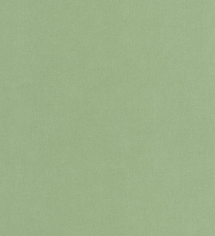 Papel pintado liso verde - Strauss 126849