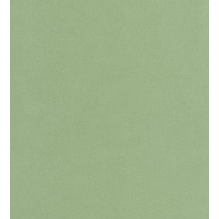 Papel pintado liso verde - Strauss 126849