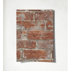 Harris Street 127121