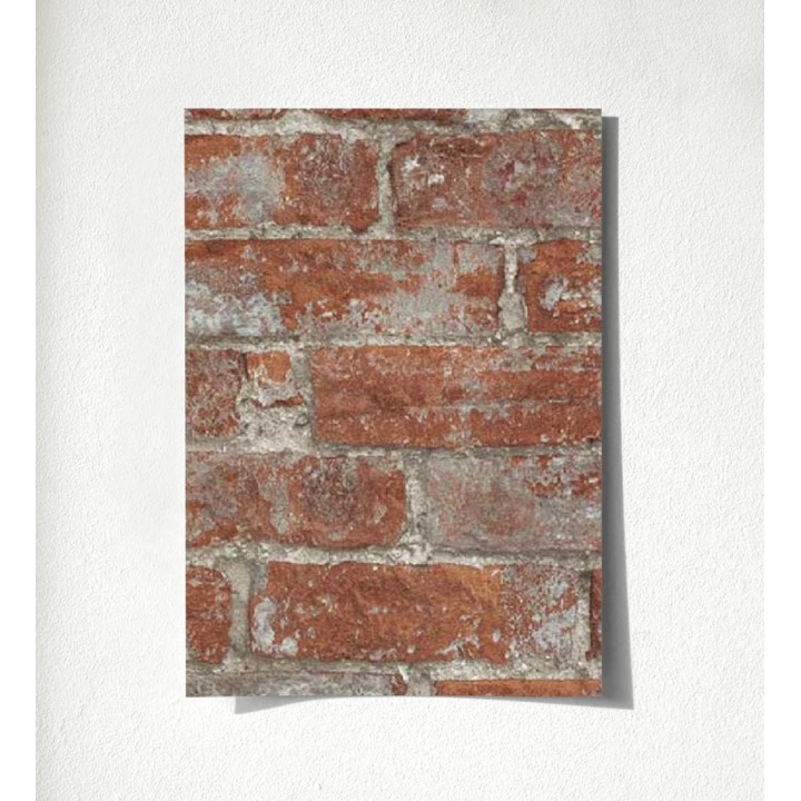 Harris Street 127121