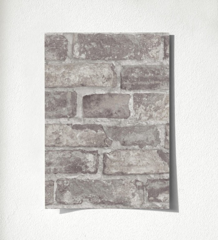 Harris Street 127123