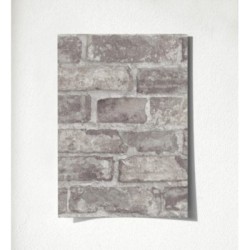 Harris Street 127123