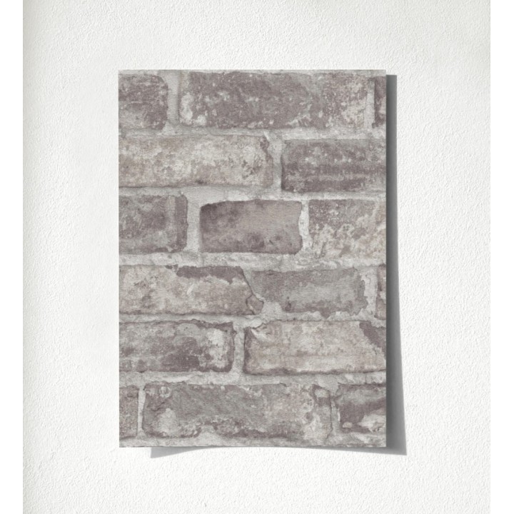 Harris Street 127123