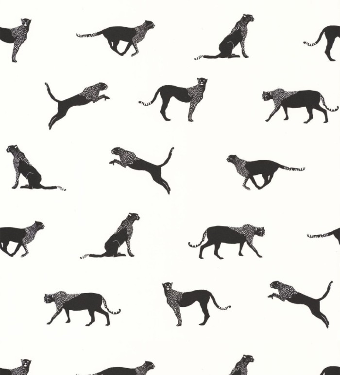 Papel pintado de guepardos africanos - Kenya Animals 126868