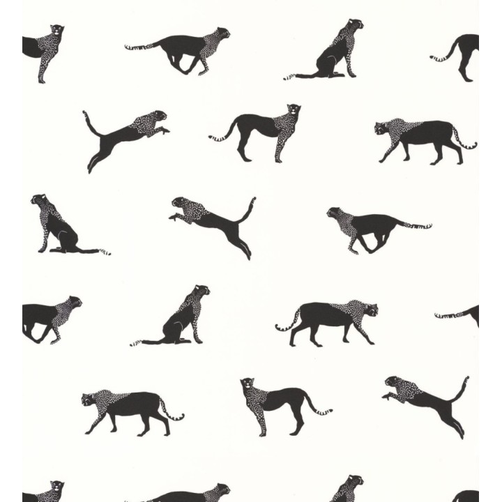 Papel pintado de guepardos africanos - Kenya Animals 126868