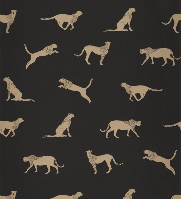 Papel pintado de guepardos africanos - Kenya Animals 126869
