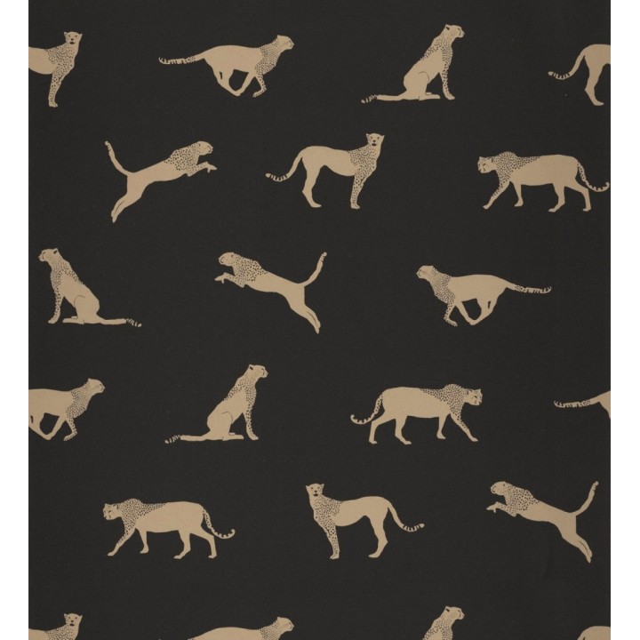 Papel pintado de guepardos africanos - Kenya Animals 126869