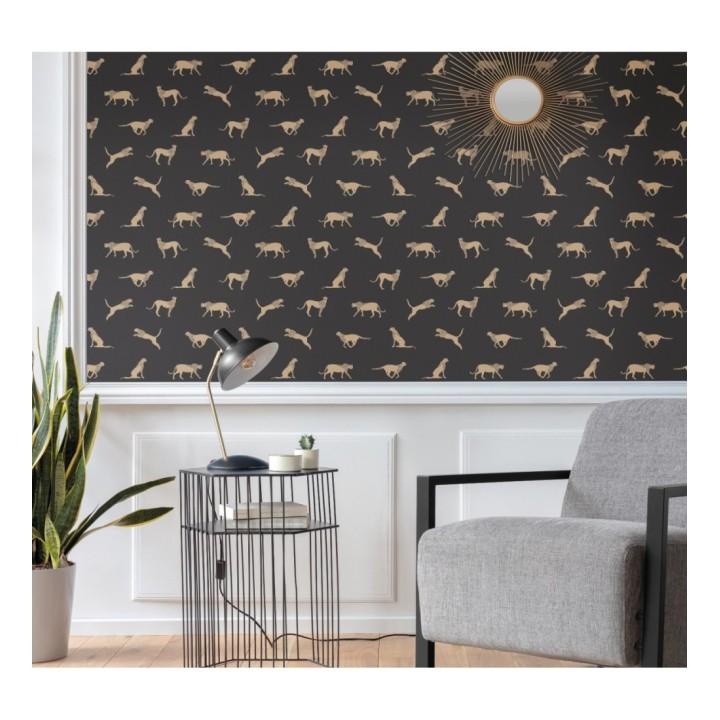 Papel pintado de guepardos africanos - Kenya Animals 126869