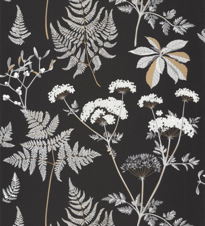 Papel pintado jardín botánico fondo negro - Agatha Forest 126883