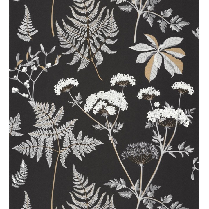 Papel pintado jardín botánico fondo negro - Agatha Forest 126883