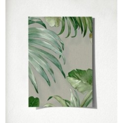 Habana Tropical 676368