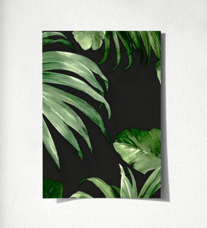 Habana Tropical 676370