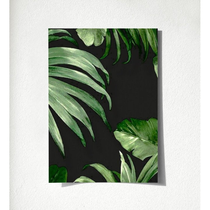 Habana Tropical 676370