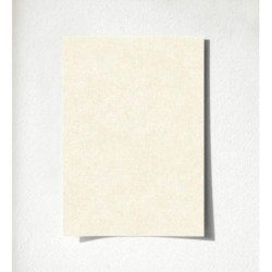 Bojan Texture 676414