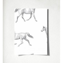 Glasgow Horses 677026