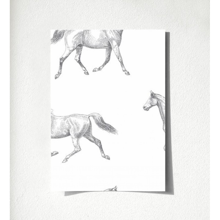 Glasgow Horses 677026