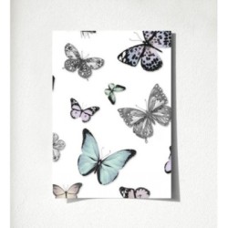 Natural Dance 677277