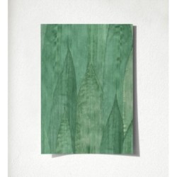 Indira Jungle 679030