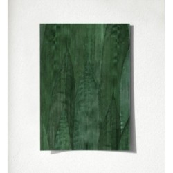 Indira Jungle 679031