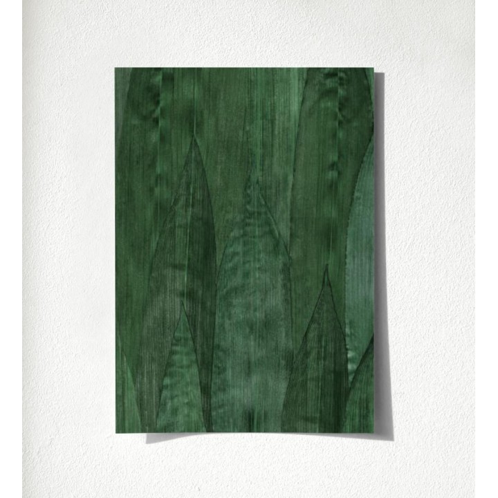 Indira Jungle 679031